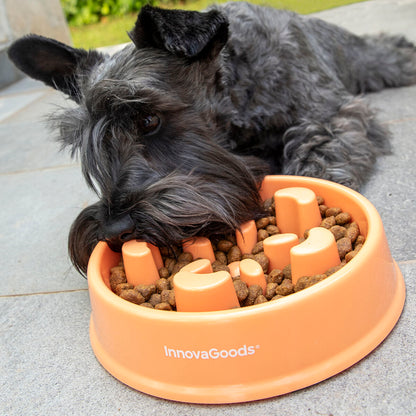 Slow Eating Food Bowl for Pets Slowfi InnovaGoods