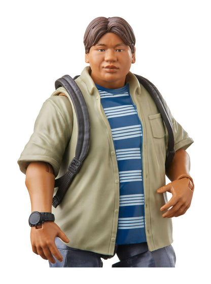 Marvel Legends Spider-Man: Homecoming Actionfiguren 2er-Pack 2022 Ned Leeds & Peter Parker 15cm Hasbro